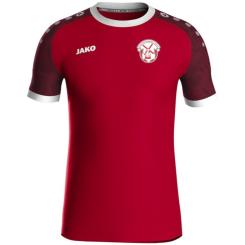 Spieltrikot 164